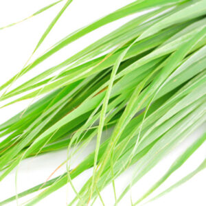 Capim Cidreira Orgânico (maço)