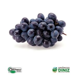 Uva Vitória sem semente Orgânica (bdj)