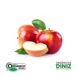Maçã Gala Orgânica Nacional (500g)
