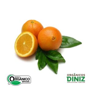 Laranja Umbigo (Bahia) Orgânica kg