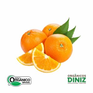 Laranja Suco Orgânica (kg)