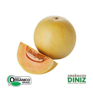 Melão Orange orgânico kg