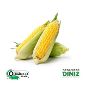 Milho verde Orgânico (BDJ)