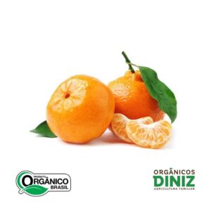 Bergamota Ponkan Orgânica KG