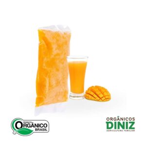 Manga Congelada Orgânica Suco 500g