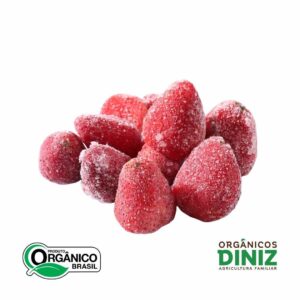 Morango Congelado Orgânicos Diniz (500g)
