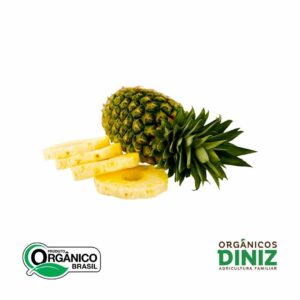Pacote de Polpa de Abacaxi orgânico 500g