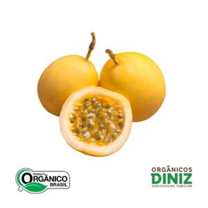 Pacote de polpa de maracujá orgânico 500g