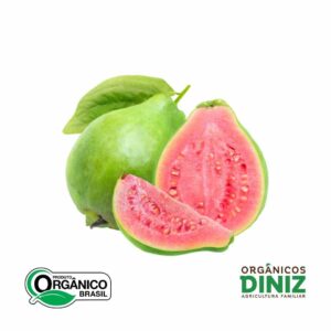 Polpa de Goiaba Orgânica Congelada 500g
