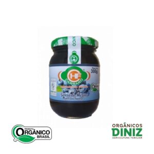 Geleia De Mirtilo com Frutas Carraro (Com Adição De Açúcar) 320g