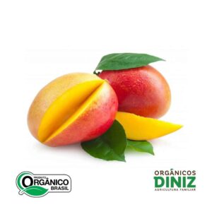 Manga Tommy Orgânica 500g
