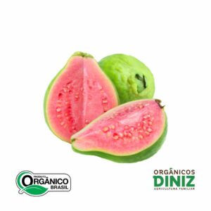 Goiaba Vermelha Orgânica (500g)