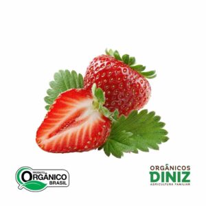 Morango orgânico 250g