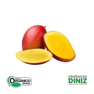 Manga Palmer Orgânica (500g)