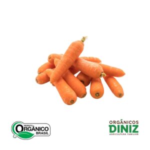 Cenoura organica com imperfeicoes (500g)