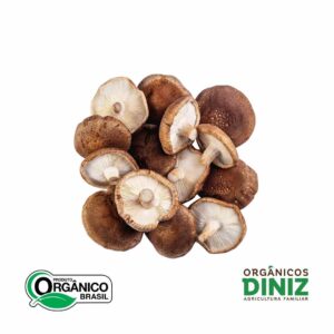 Cogumelos Shitake Orgânico Do Vale (bdj)