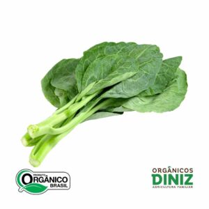Couve Folha Orgânica mç