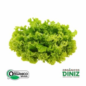 Alface Crespa Orgânica (und)