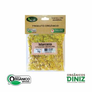 Macela Quintal Verde 5G