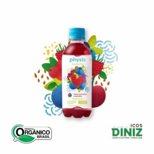 Kombucha com Frutas Vermelhas e Carvalho Orgânico 300ml