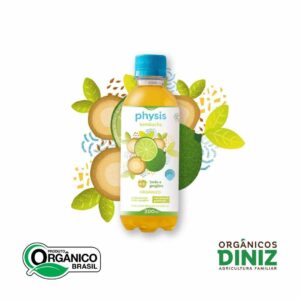 Kombucha com Limão e Gengibre Orgânico 300ml