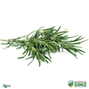 Alecrim Organico (mç)