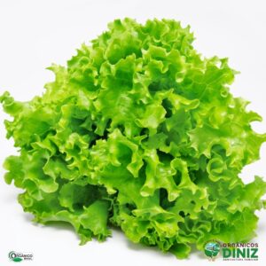 Alface Crespa Orgânica (und)