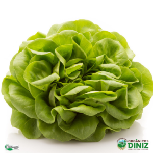 Alface Lisa Orgânica  (und)