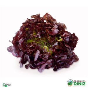 Alface Roxa orgânica (und)
