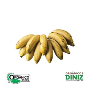 Banana Maçã Orgânica kgf33