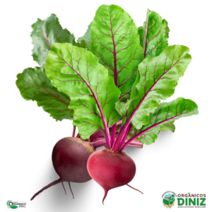 Beterraba com Folha Orgânica (mç)