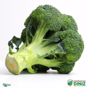 Brócolis Chinês Orgânico(und)