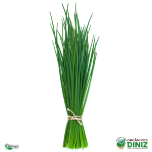 Cebolinha Orgânica (mç)