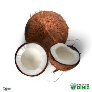 Coco Seco Orgânico 500g