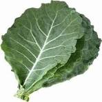 Couve Folha Orgânica mç