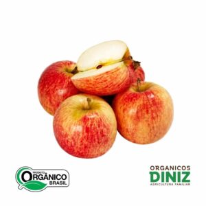 Maçã Classificação B Organica (500g)