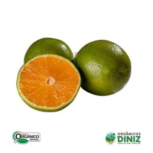 Laranja Pera Orgânica (kg