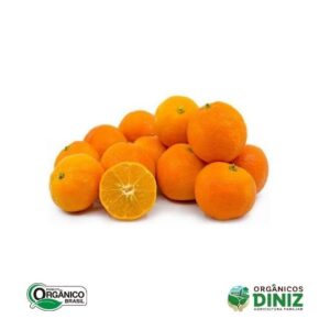 Limão Cravo Orgânico (500g)