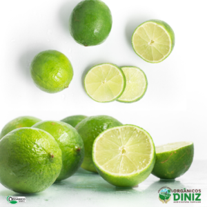 Limão Taiti Orgânico 500 g