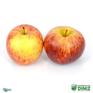 Maçã Gala Orgânica Italiana 500 g