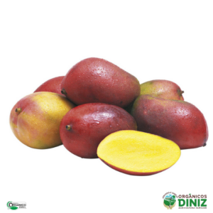 Manga Palmer Orgânica (500g)