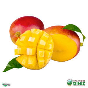 Manga Tomy Orgânica 500g