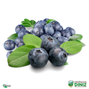 Mirtilo Fresco Orgânico 100 (bdj)