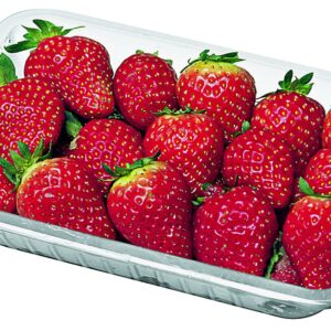 Morango Orgânico OBA (500)g