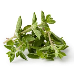 Orégano Orgânico (mç)