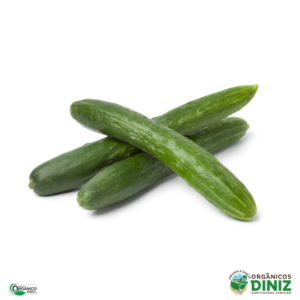 Pepino Japonês Orgânico 500g