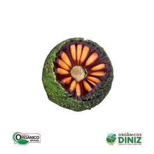 Pinha (Extrativismo Sustentável) Kg