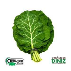 Couve Folha Orgânica mç