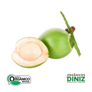 Coco Verde Orgânico (und)