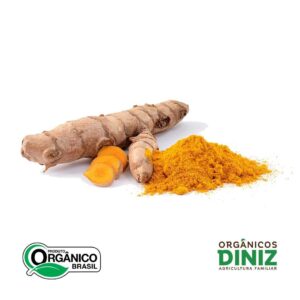 Açafrão (cúrcuma) in natura (100g)